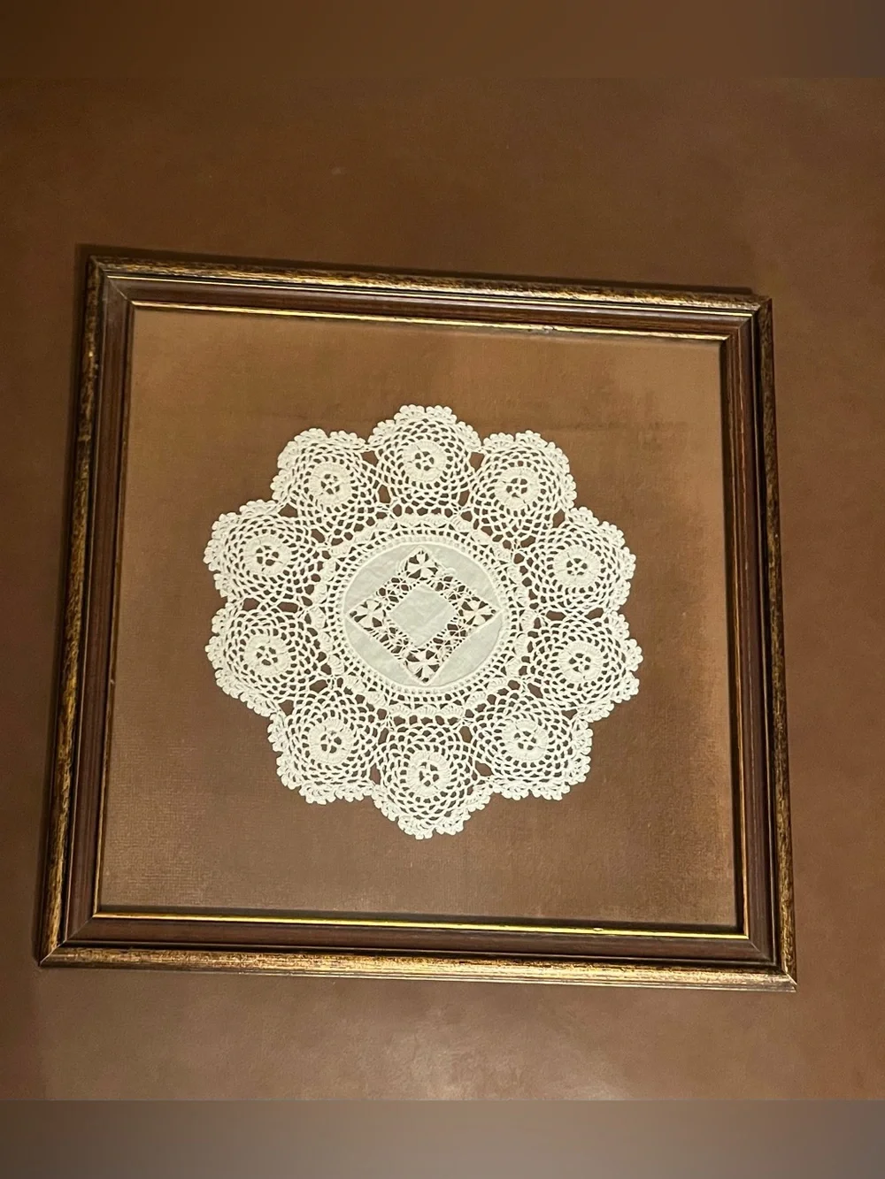 Vtg Framed Hand Crocheted Lace Doily
